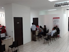 Registro tributario (Ventanillas 10 y 11)